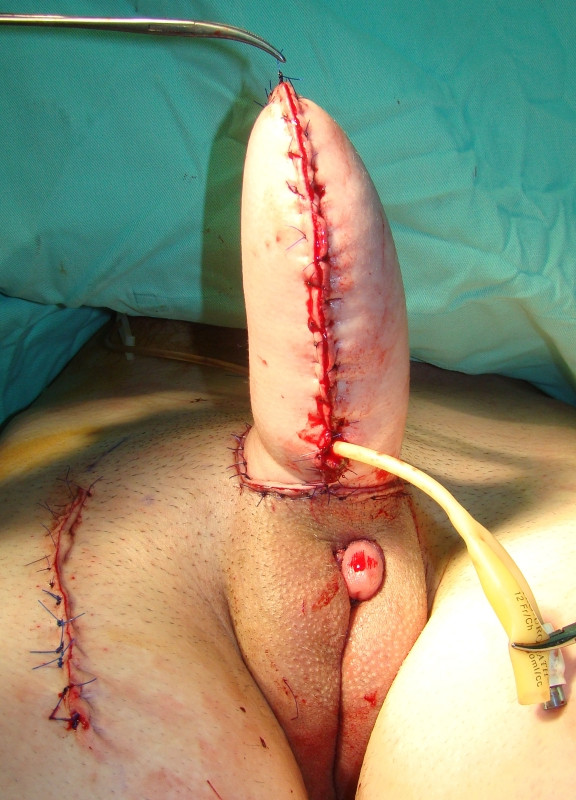 tranny swallowing own sperm young gay boys and daddy
